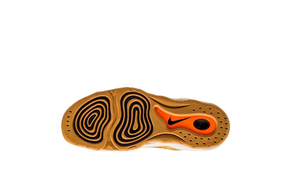 Nike Air Pippen 